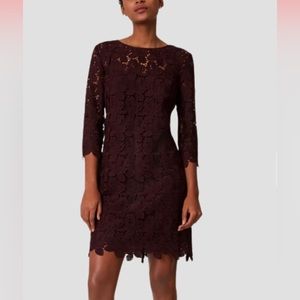LOFT burgundy lace dress